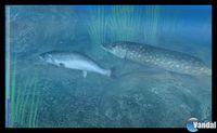Imagen Reel Fishing Paradise 3D