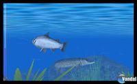 Reel Fishing Paradise 3D