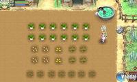 Imagen 5 de Rune Factory 4 para Nintendo 3DS