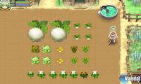Imagen 9 de Rune Factory 4 para Nintendo 3DS