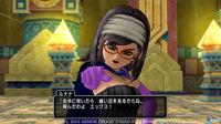 Dragon Quest X