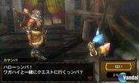 Imagen 135 de Monster Hunter Tri G para Nintendo 3DS