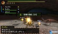Imagen 139 de Monster Hunter Tri G para Nintendo 3DS