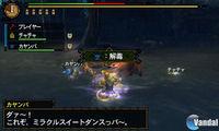 Imagen 142 de Monster Hunter Tri G para Nintendo 3DS