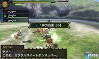 Imagen 143 de Monster Hunter Tri G para Nintendo 3DS