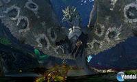 Nuevas im�genes de Monster Hunter 4