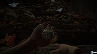Imagen Datura PSN