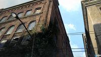 El mundo salvaje de The Last of Us se muestra en un nuevo tr�iler