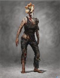 The Last of Us se vuelve a descubrir en nuevas im�genes