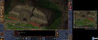 Baldur's Gate: Enhanced Edition se muestra en nuevas im�genes