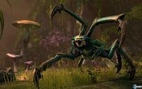 The Elder Scrolls Online se deja ver en nuevas im�genes