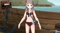 Atelier Totori Plus: The Adventurer of Arland 2 PSN