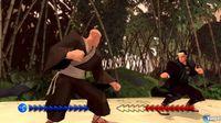 Imagen Karateka eShop