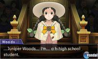 Imagen Phoenix Wright: Ace Attorney - Dual Destinies