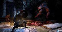 Dragon's Dogma: Dark Arisen se sigue mostrando