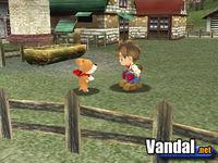 Harvest Moon: A Wonderful Life