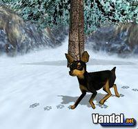 Imagen 7 de Dog's Life para PlayStation 2