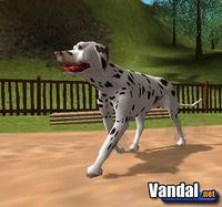 Imagen Dog's Life