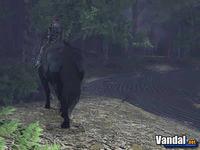 Nuevas im�genes de Shadow of the Colossus