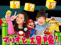 Nintendo lanza en Jap�n sus primeros contenidos descargables de pago