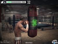 Vivid Games presenta Real Boxing