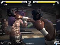 Vivid Games presenta Real Boxing