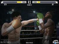 Imagen Real Boxing