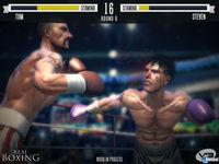 Pantalla Real Boxing