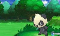 Imagen Pok�mon X/Y
