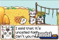 Imagen Hamtaro: Ham-Ham Heartbreak