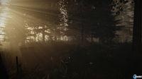 Nuevas imágenes del título de terror The Forest