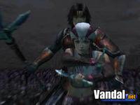 Nuevas im�genes de Samurai Warriors