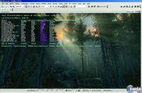 Primeras im�genes y v�deo del motor CryEngine 3