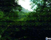 Primeras im�genes y v�deo del motor CryEngine 3