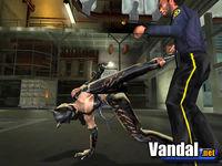 Imagen 1 de Catwoman para PlayStation 2