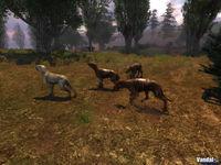 Nuevas im�genes y v�deos de S.T.A.L.K.E.R.: Shadow of Chernobyl