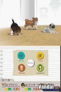 Nuevas im�genes de Nintendogs