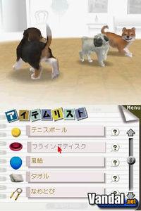 Nuevas im�genes de Nintendogs
