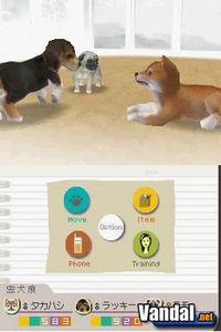 Nuevas im�genes de Nintendogs