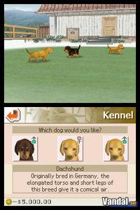 Imagen 19 de Nintendogs para Nintendo DS