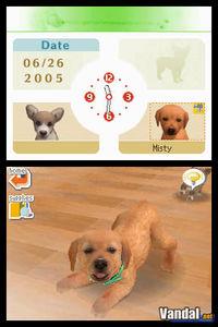 Imagen 27 de Nintendogs para Nintendo DS