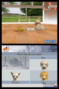 Imagen 24 de Nintendogs para Nintendo DS