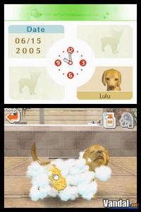 Imagen 22 de Nintendogs para Nintendo DS