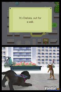Imagen 21 de Nintendogs para Nintendo DS