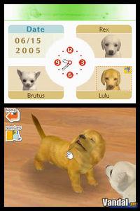Imagen 20 de Nintendogs para Nintendo DS