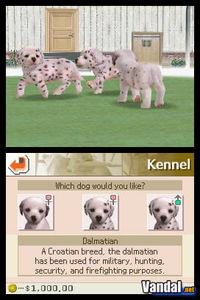 Imagen 34 de Nintendogs para Nintendo DS