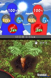 Imagen 6 de Lost in Blue para Nintendo DS