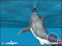 Imagen 6 de Tibur�n para Ordenador