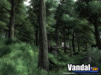 Primeras im�genes y detalles de The Elder Scrolls IV: Oblivion