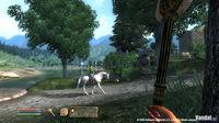 Nuevas im�genes de The Elder Scrolls IV: Oblivion